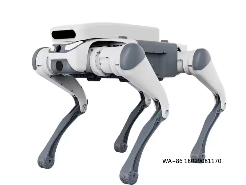 Remote Control Toys - Juguete educativo con control remoto para