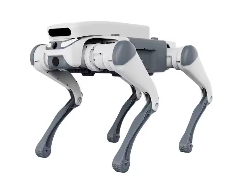 Juguete educativo con control  - Remote Control Toys reseña y precio