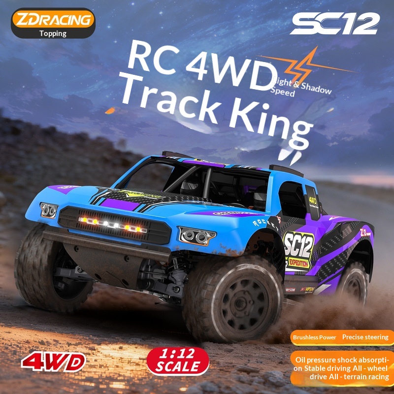 Coche de Control Remoto Zd Rac - Rc Drift Car 1 24 Scale 4Wd reseña y precio
